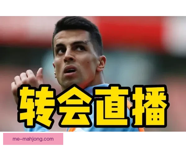 亚洲杯赛场核心球员状态追踪与球队走势深度解析关键影响力评估